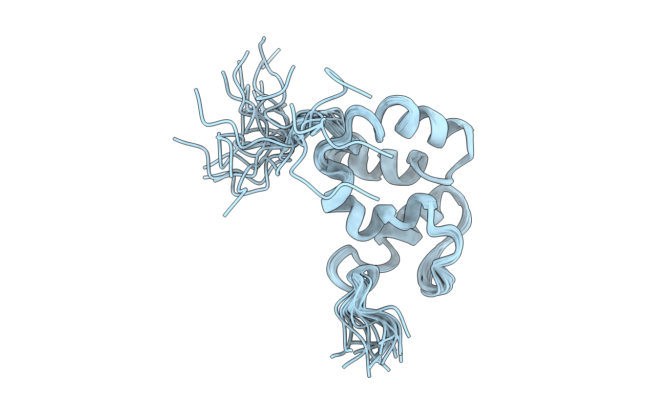 1F6V image