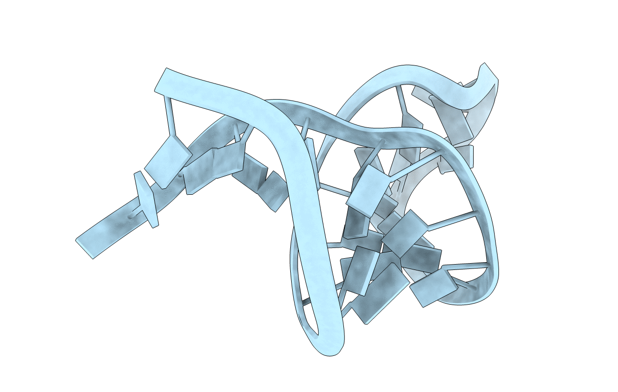 1F6X image