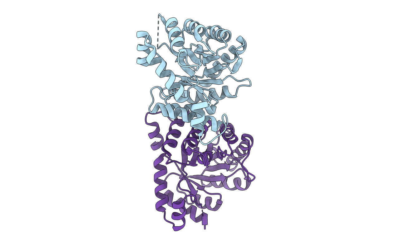 1F6Y image