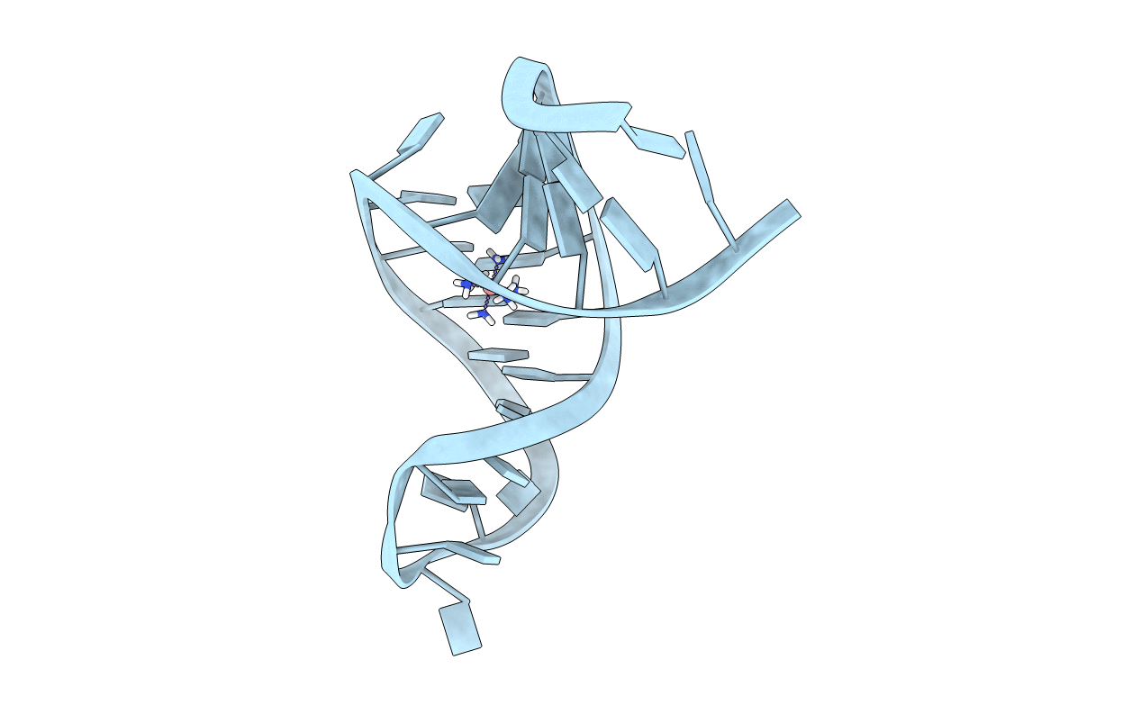 1F78 image