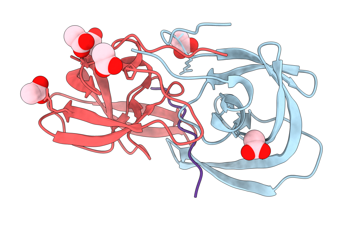 1F7A image