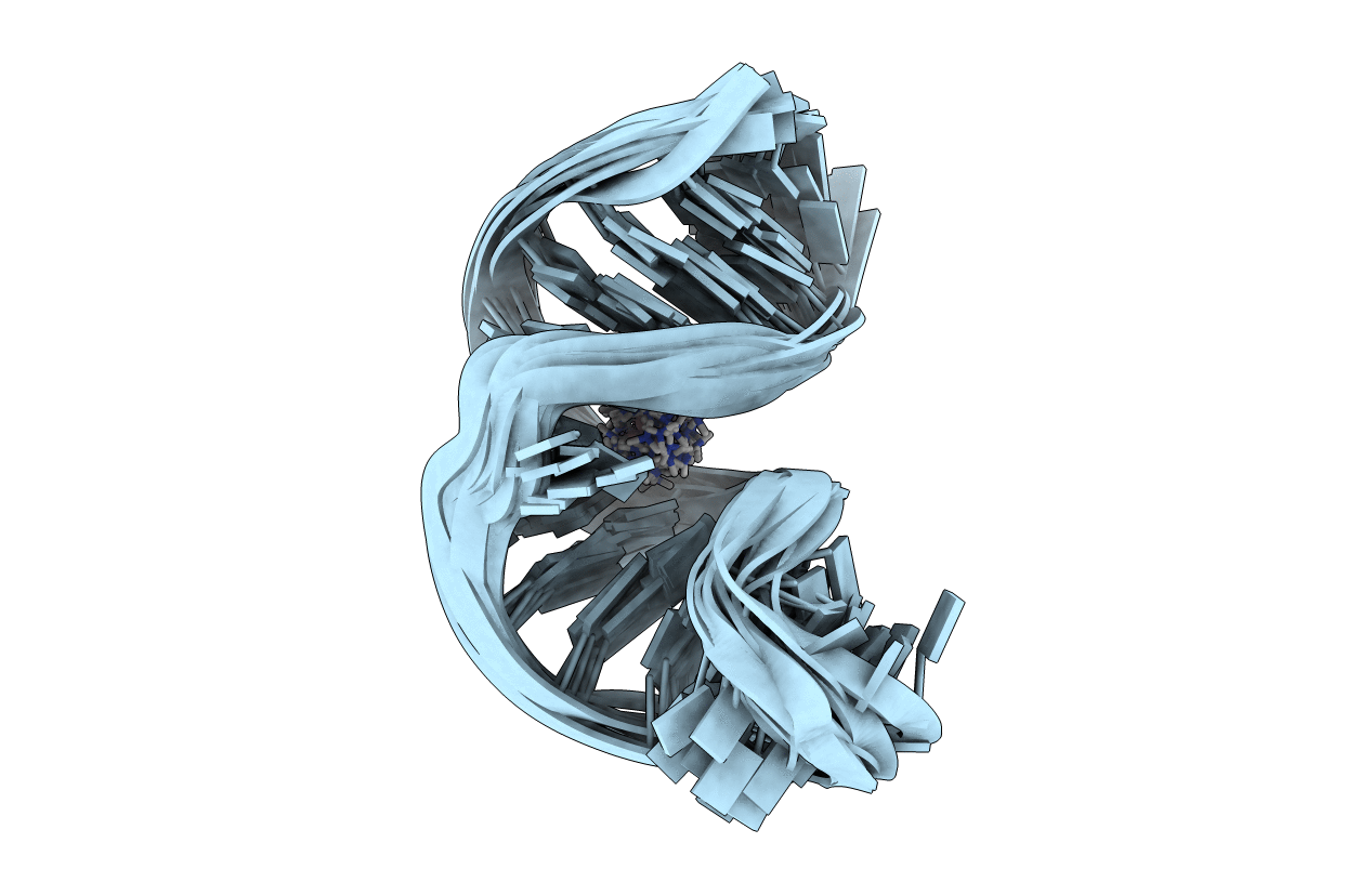 1F7I image