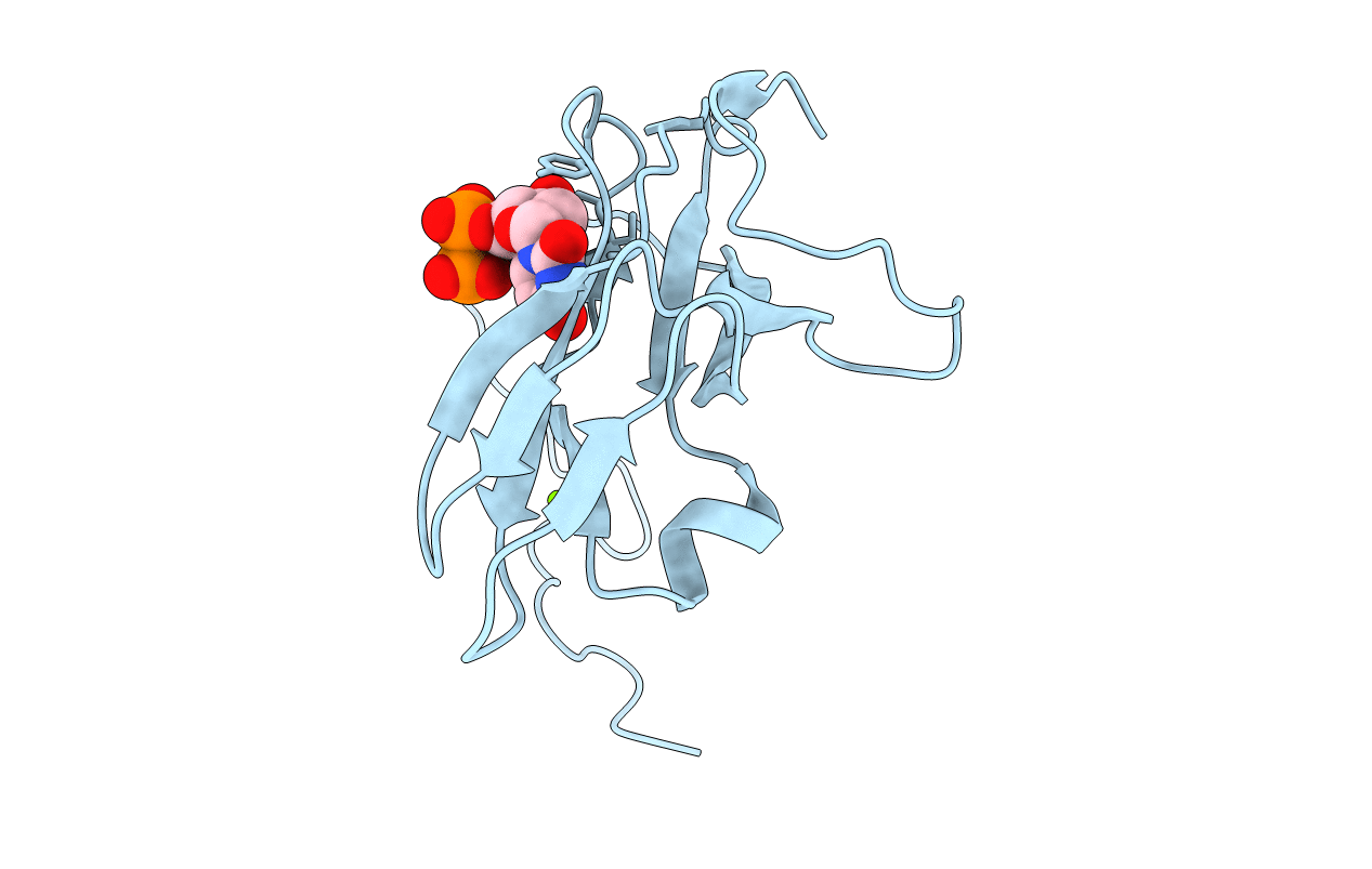 1F7R image