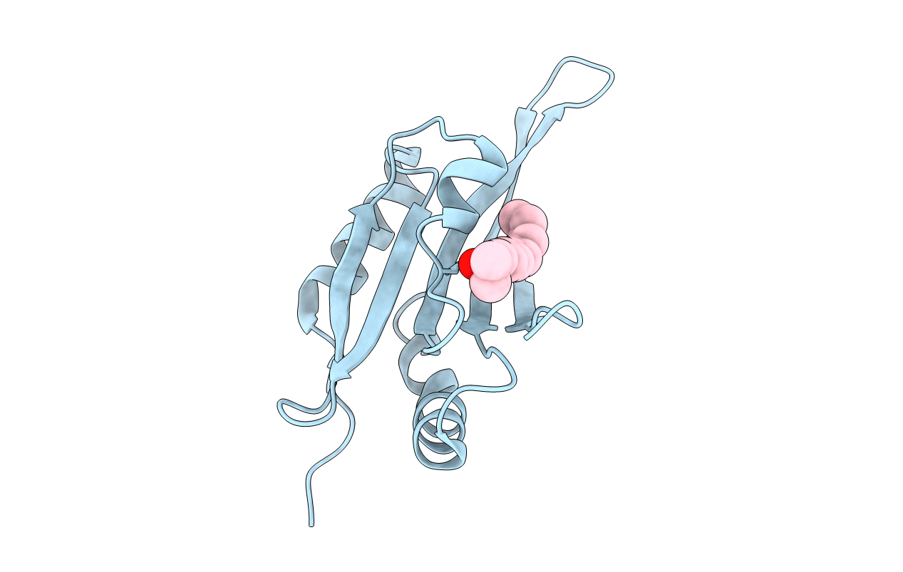 1F7S image
