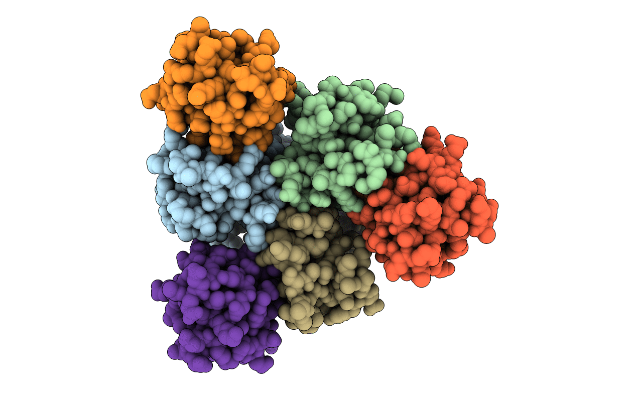 1F80 image