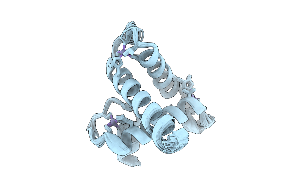 1F81 image