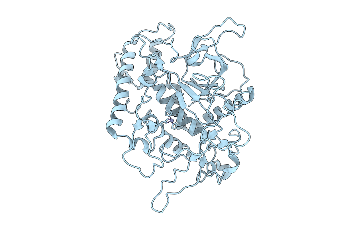 1F82 image