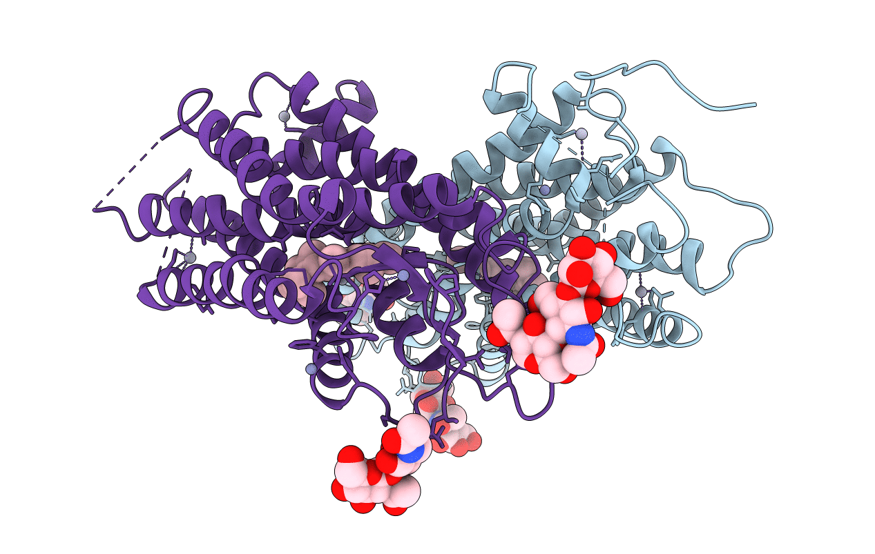 1F88 image