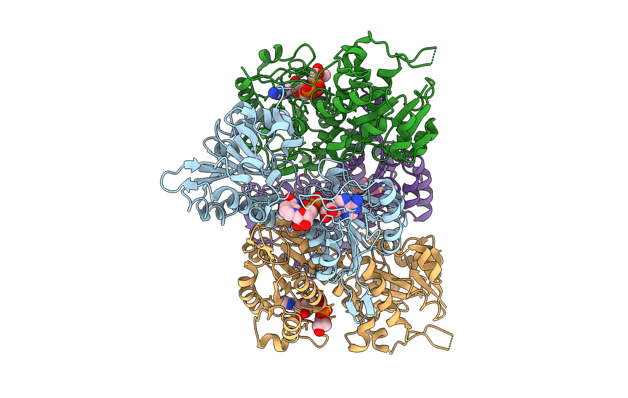 1F8G image