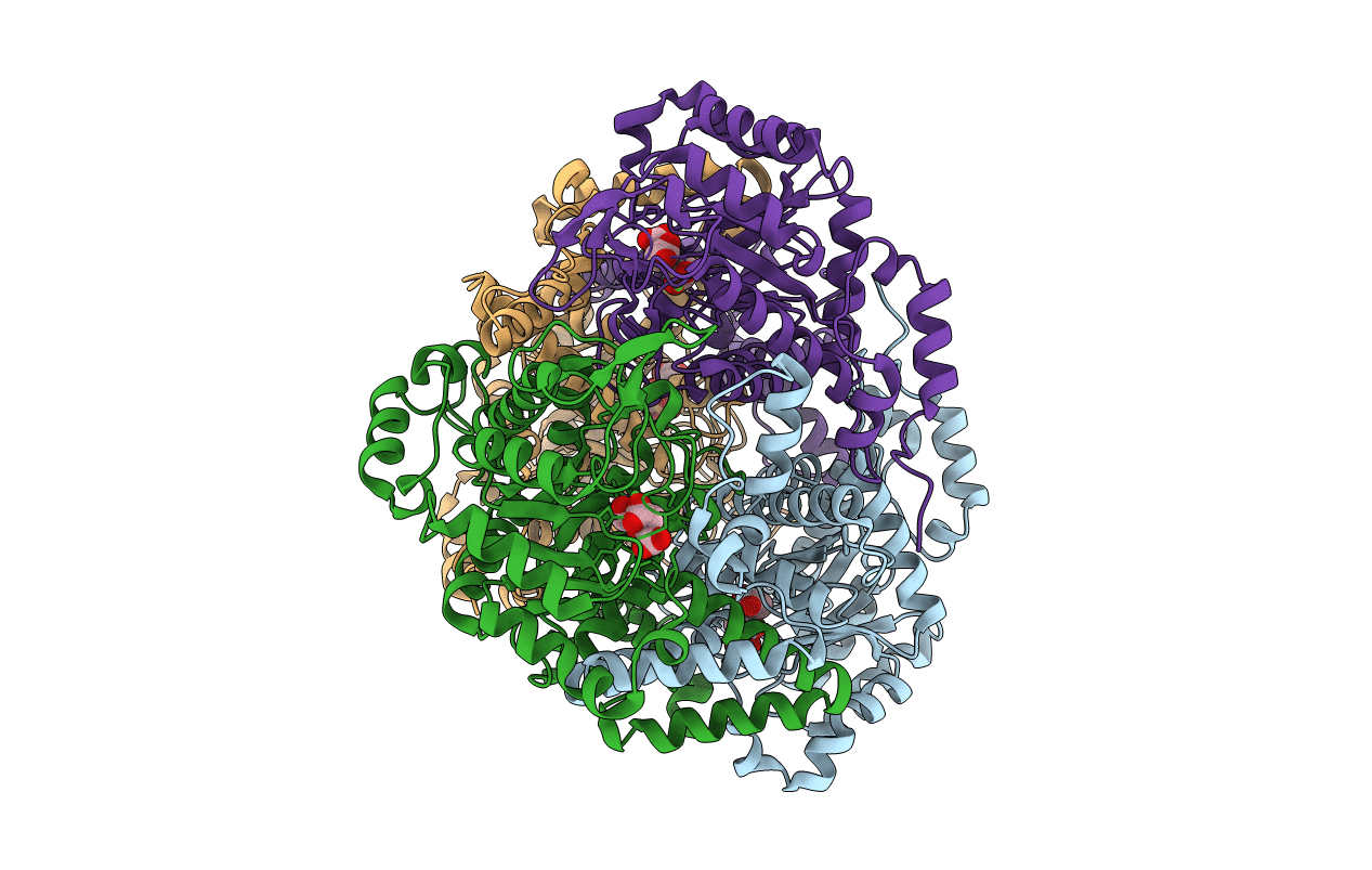 1F8I image