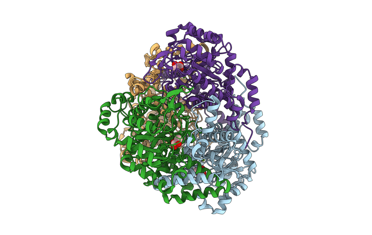 1F8M image