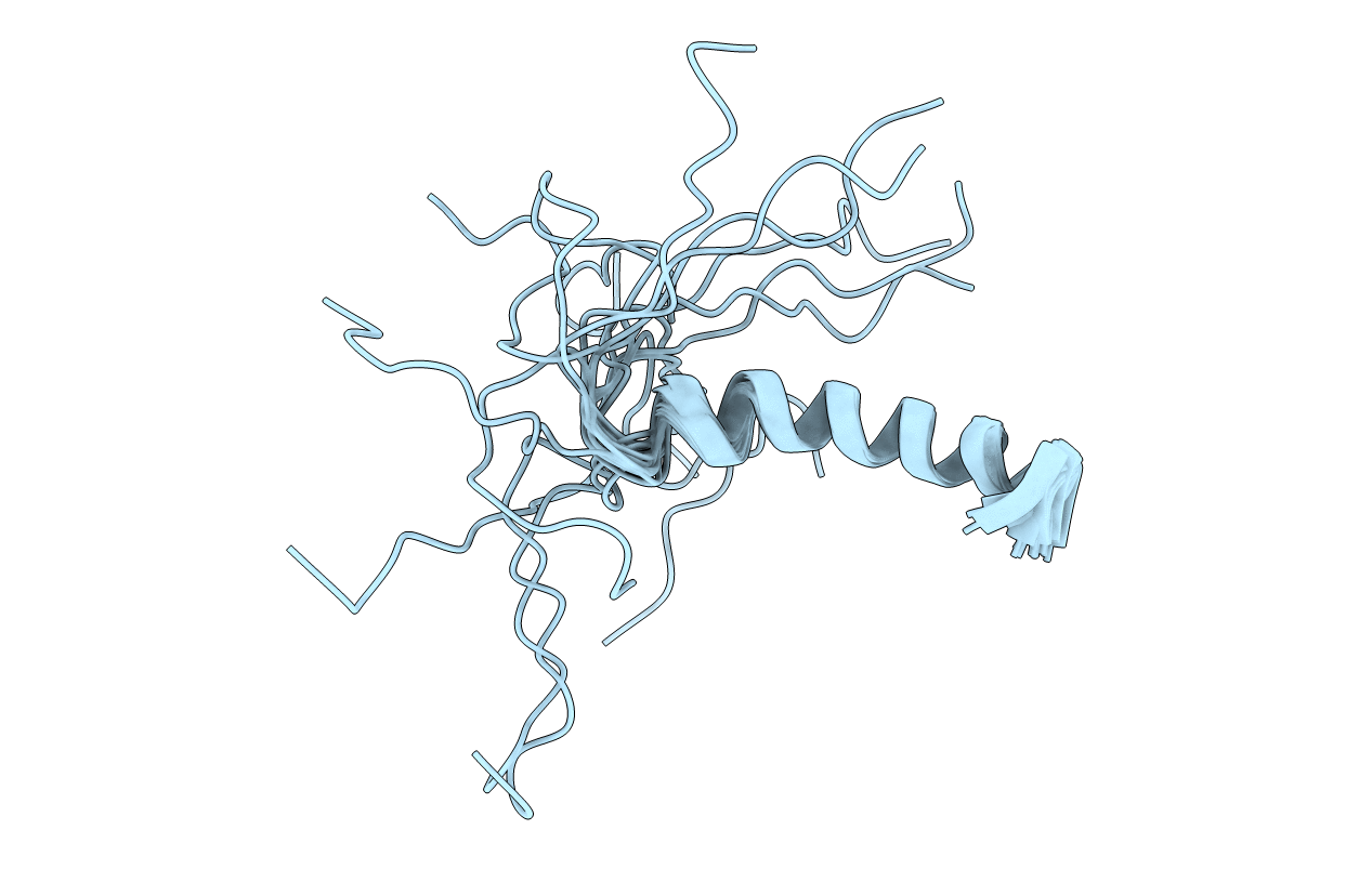 1F8P image