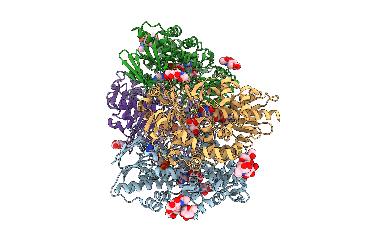 1F8R image