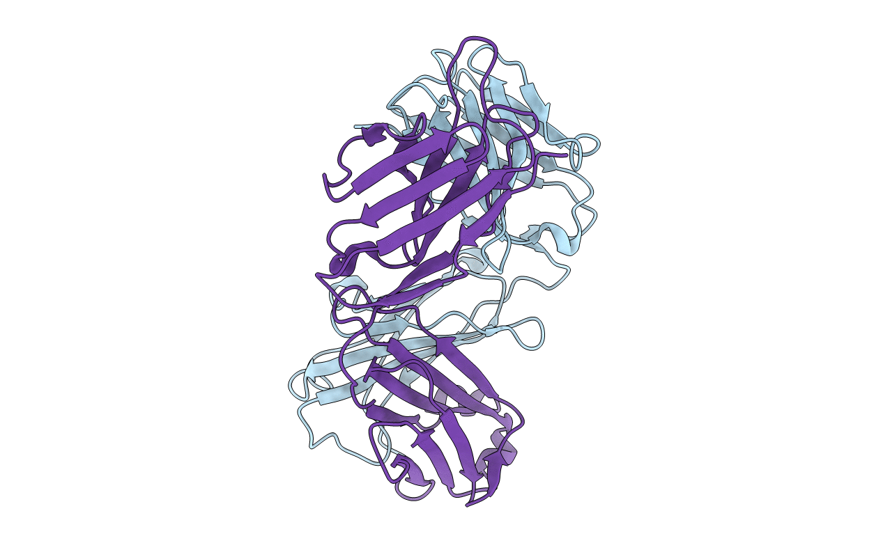 1F8T image