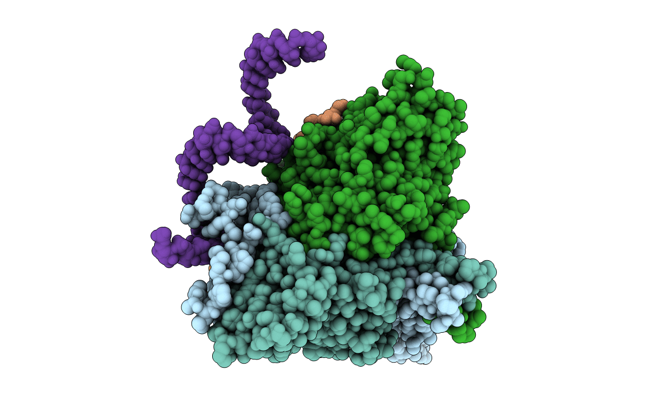 1F8V image