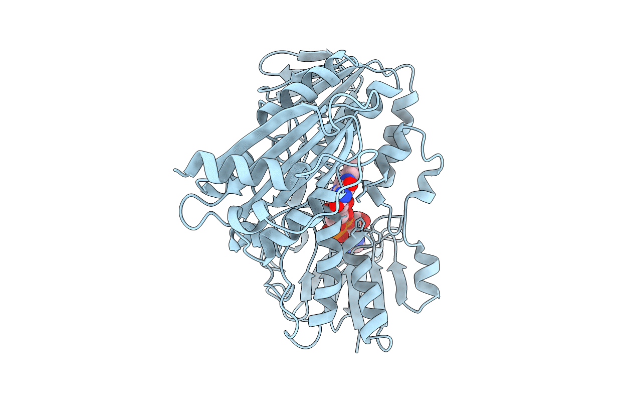 1F8W image