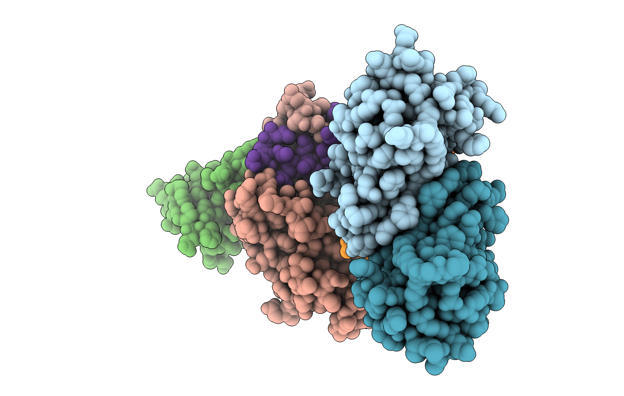 1F93 image