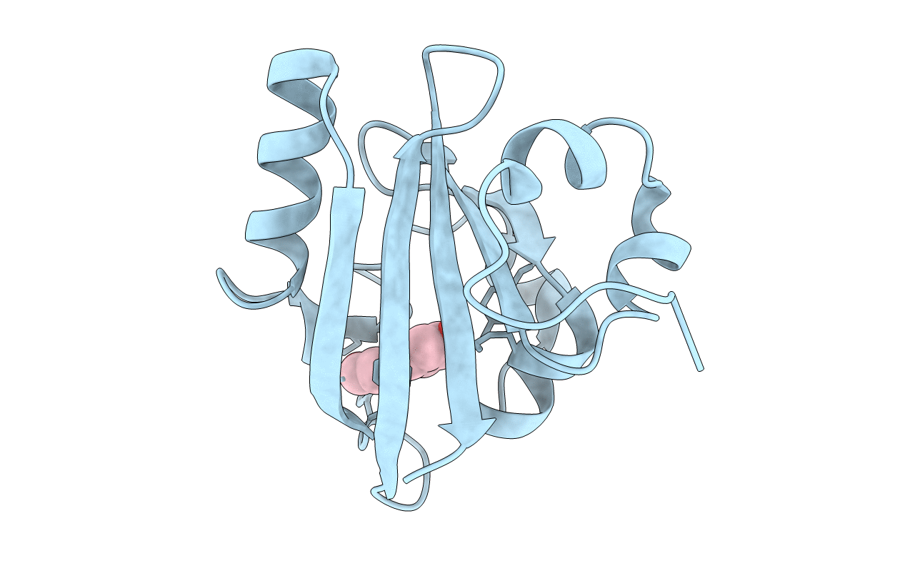 1F98 image