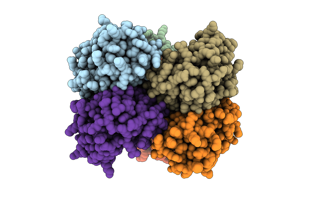 1F9A image