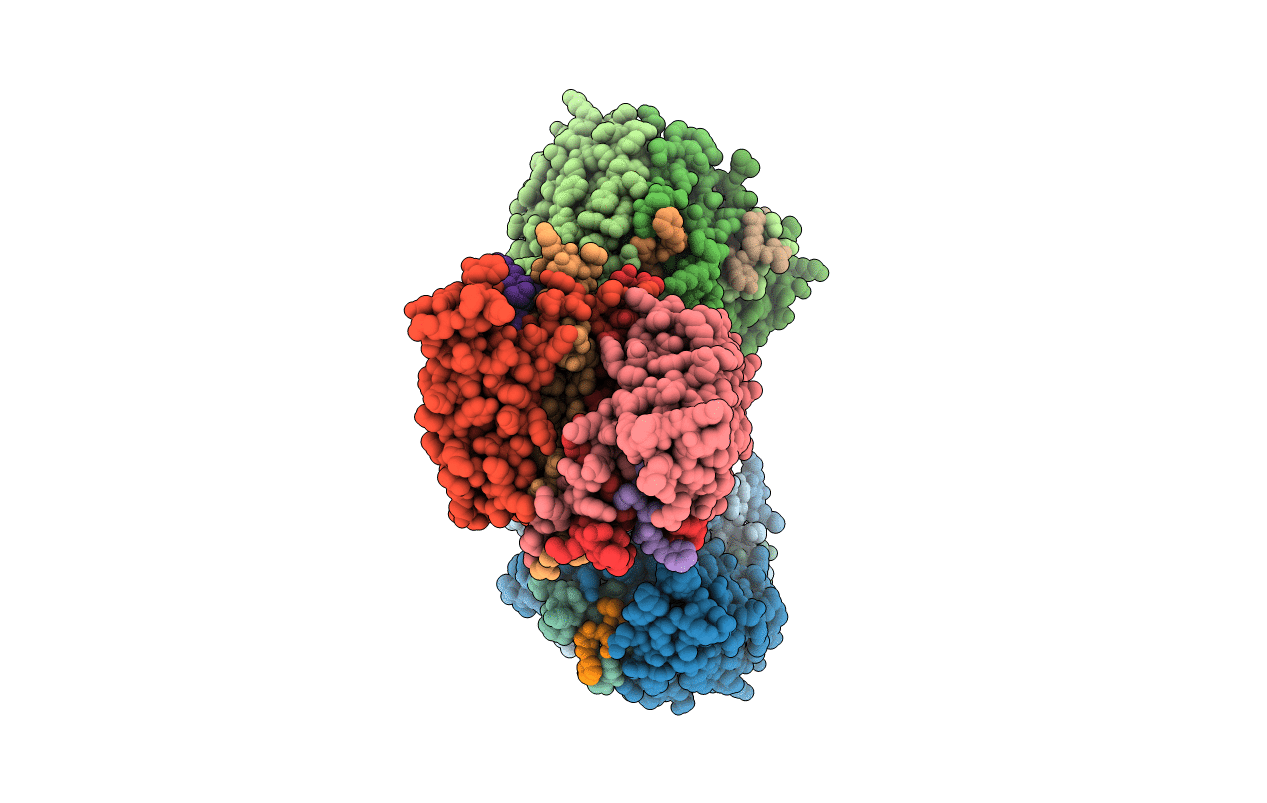 1F9E image