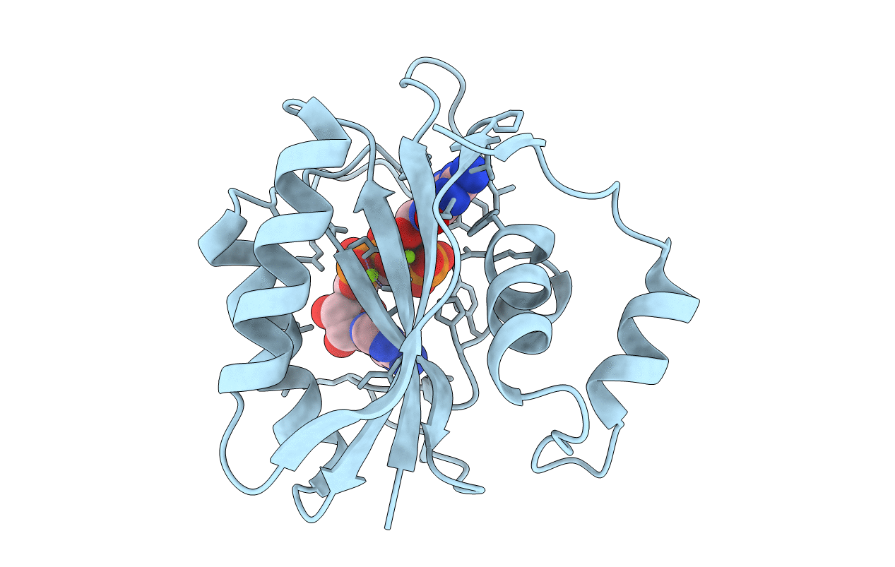 1F9H image