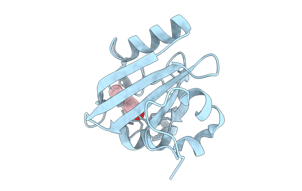 1F9I image