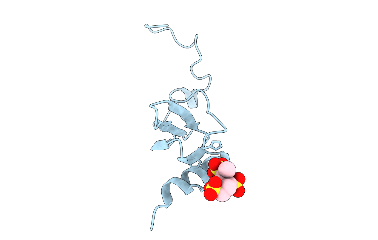 1f9p image