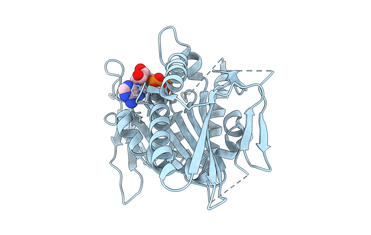 1f9u image