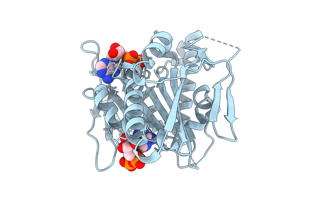 1f9v image