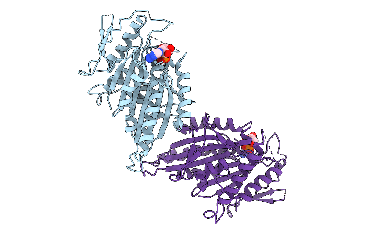 1f9w image