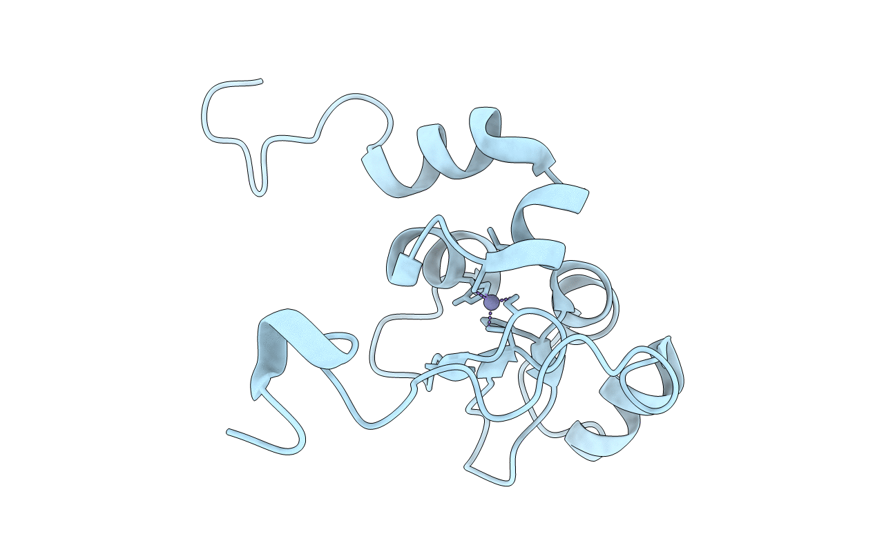 1F9X image