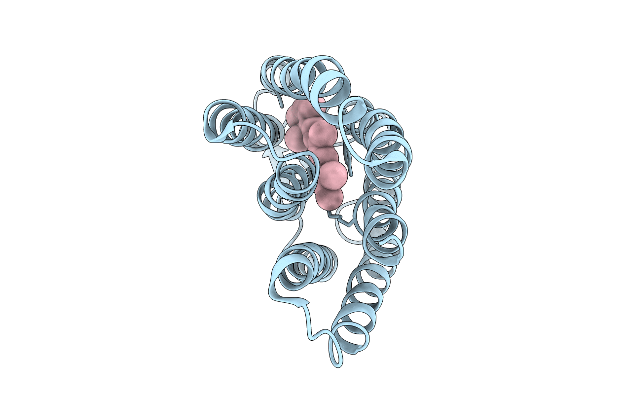 1FBB image