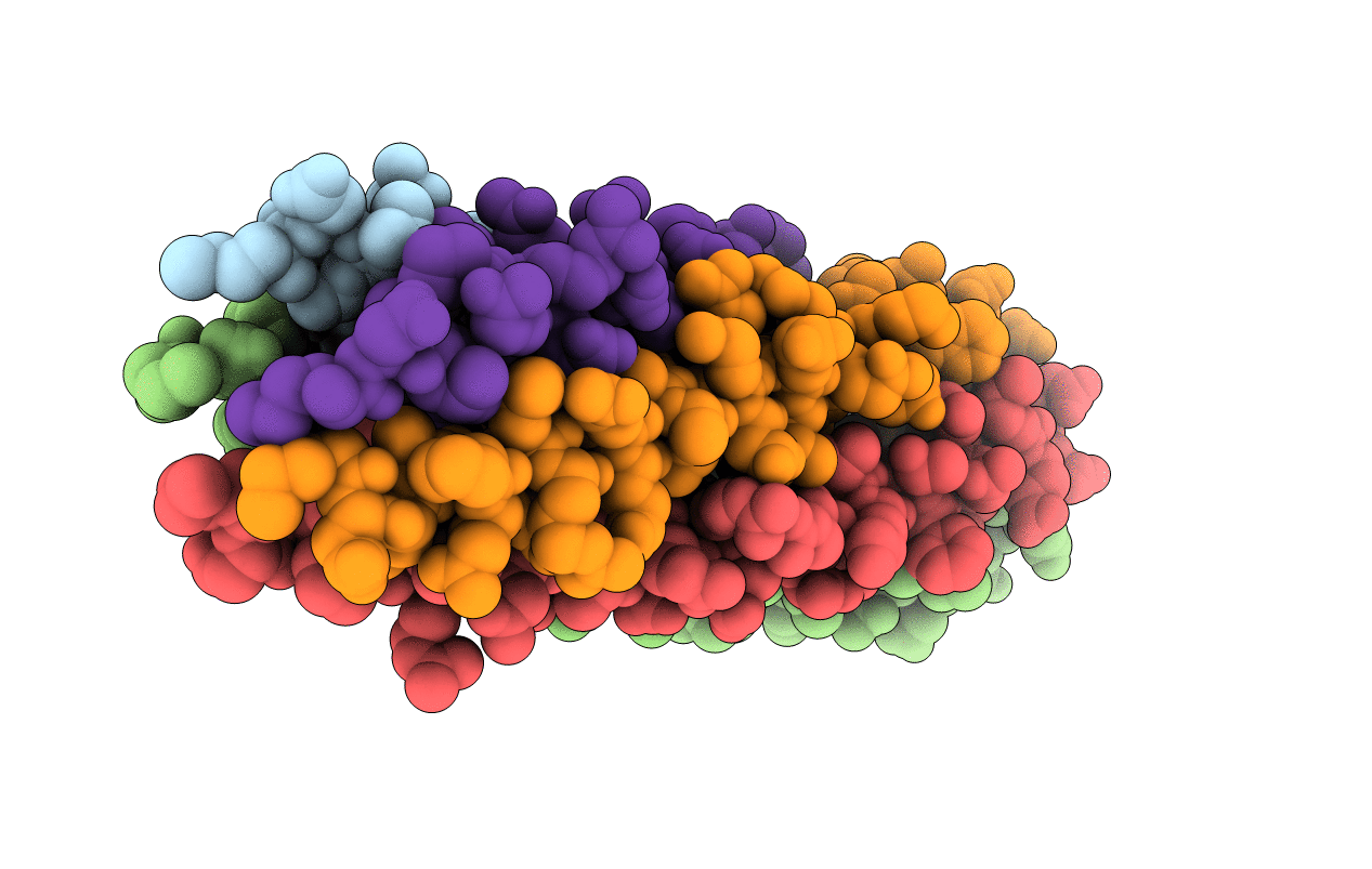 1FBM image