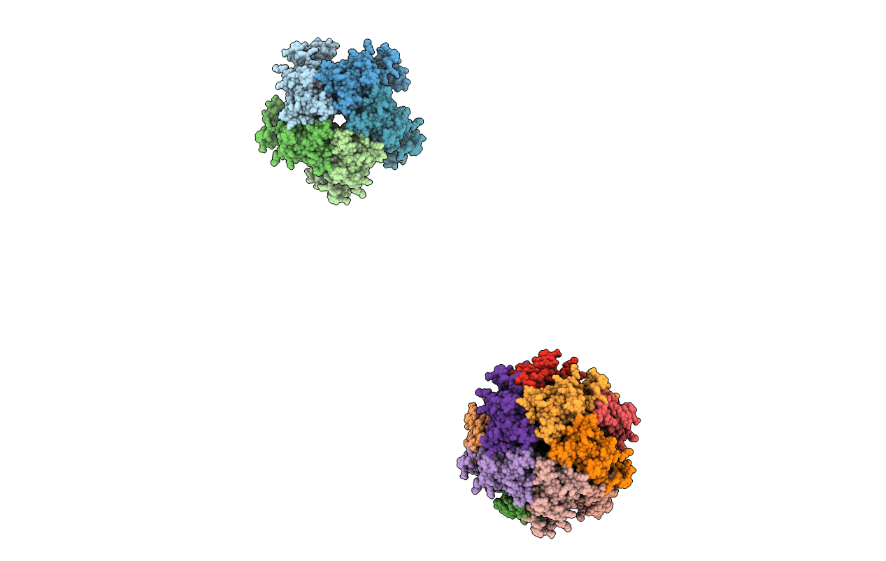 1FBX image