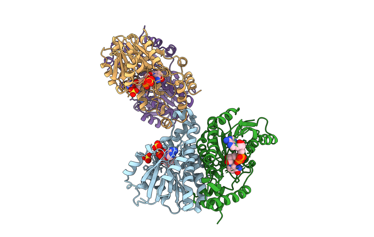 1FDV image