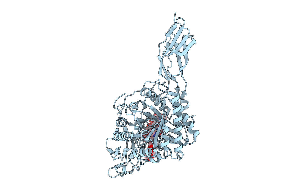 1FFR image