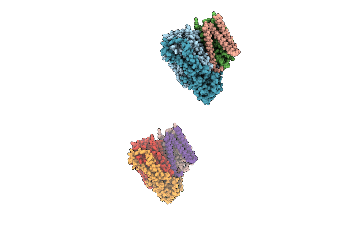 1FFT image