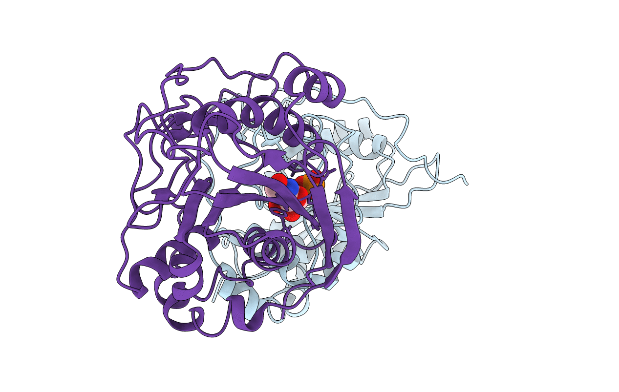 1FGX image