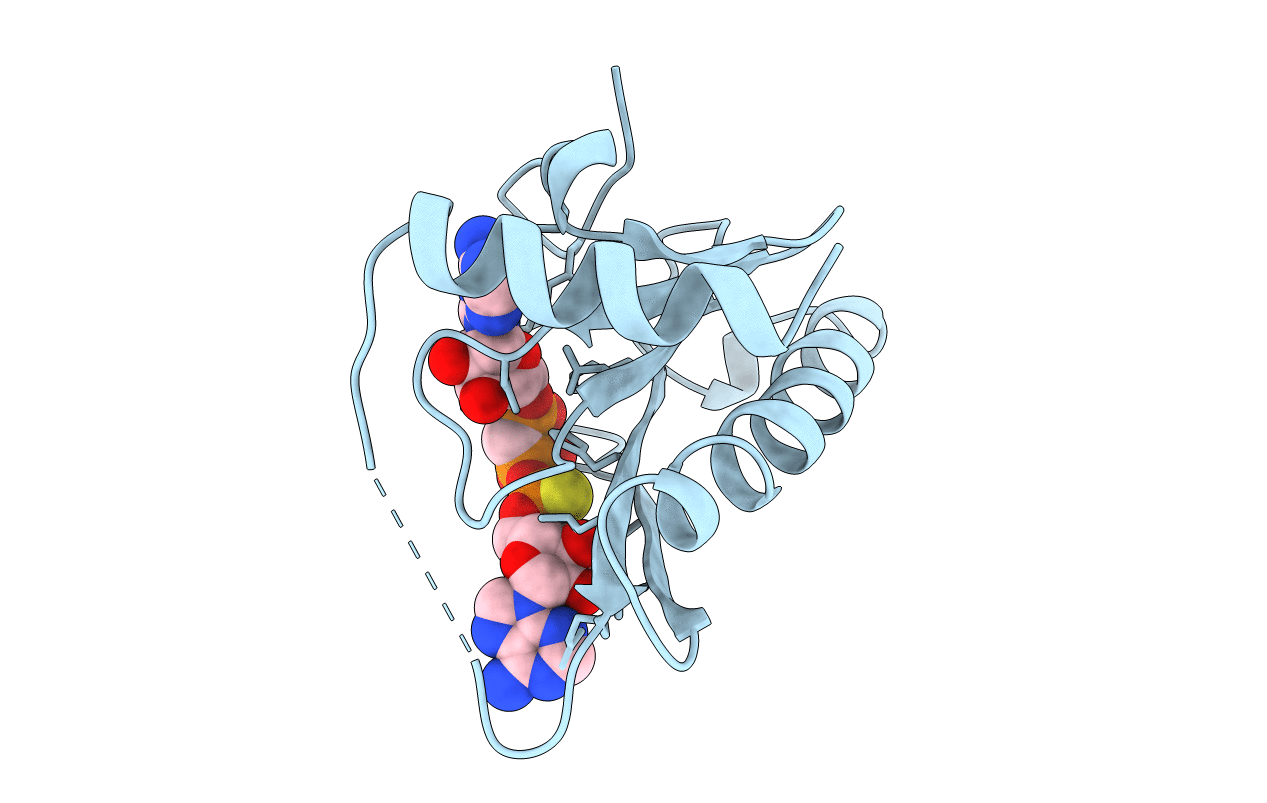 1FHI image