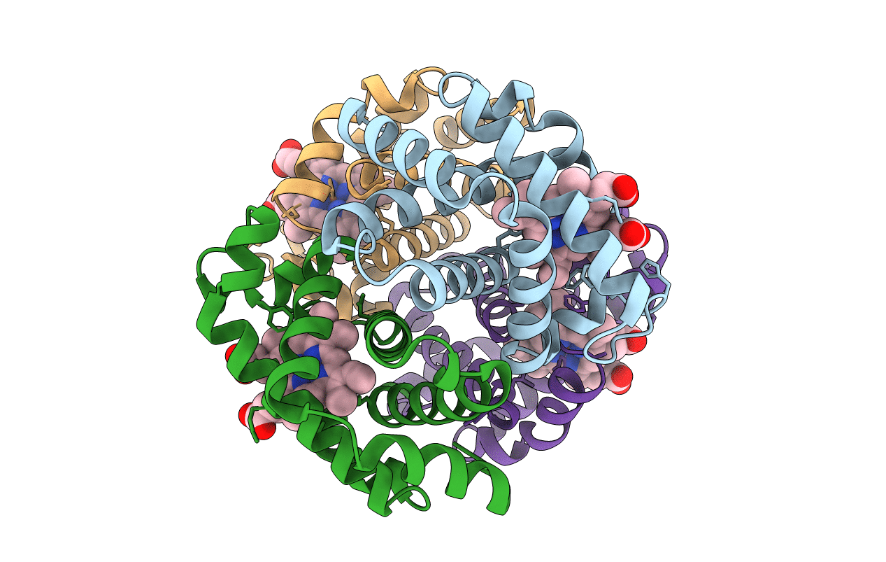 1FHJ image