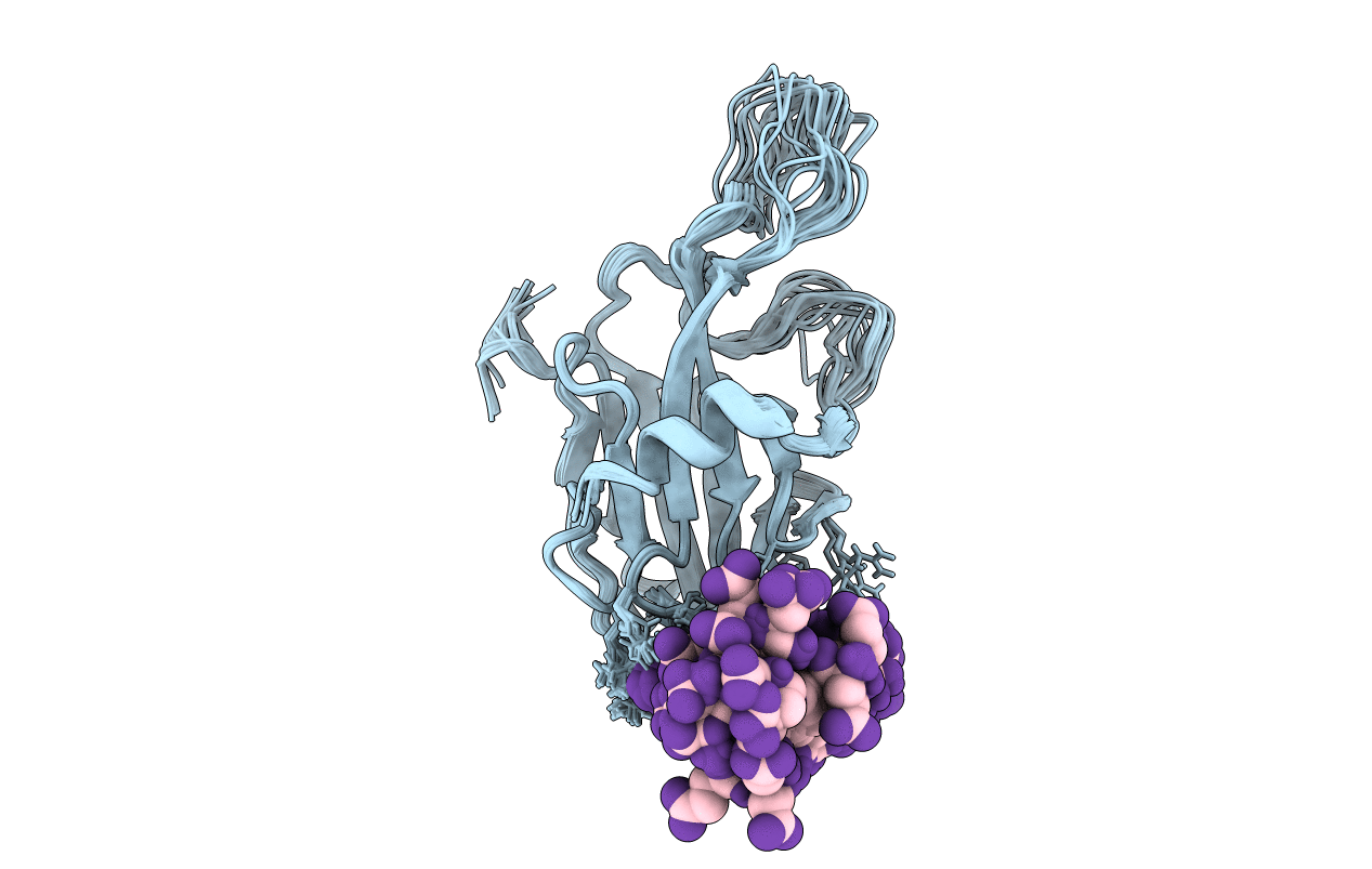 1FHR image