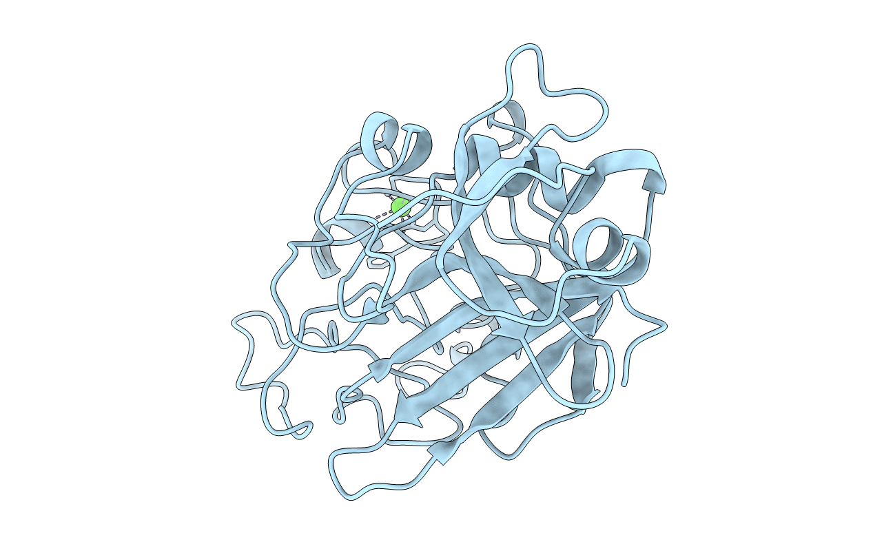 1FIB image