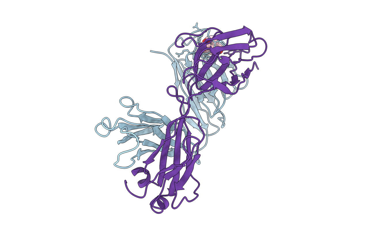 1FIG image
