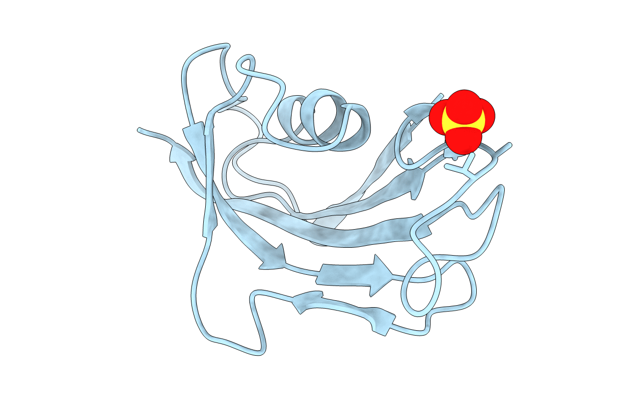 1FKK image