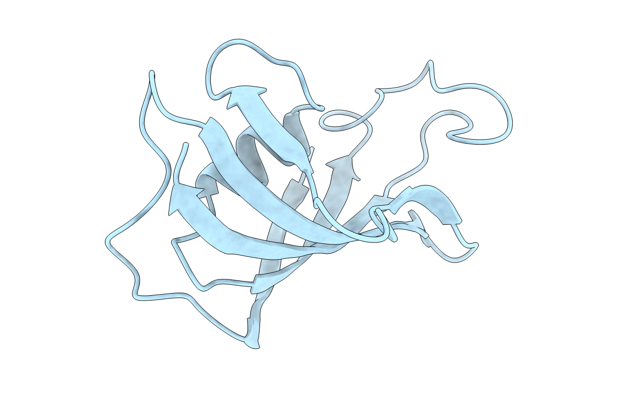 1FKT image