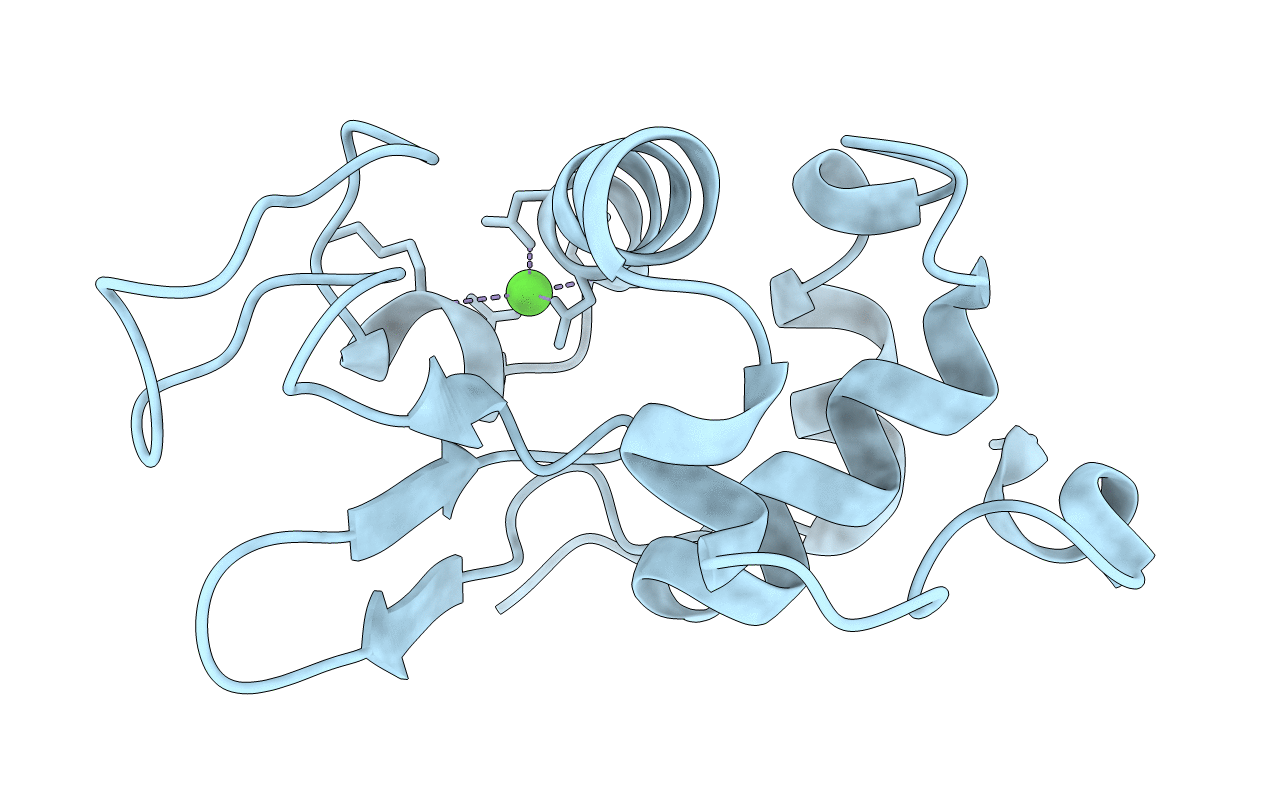 1FKV image
