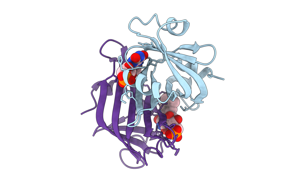 1FLM image