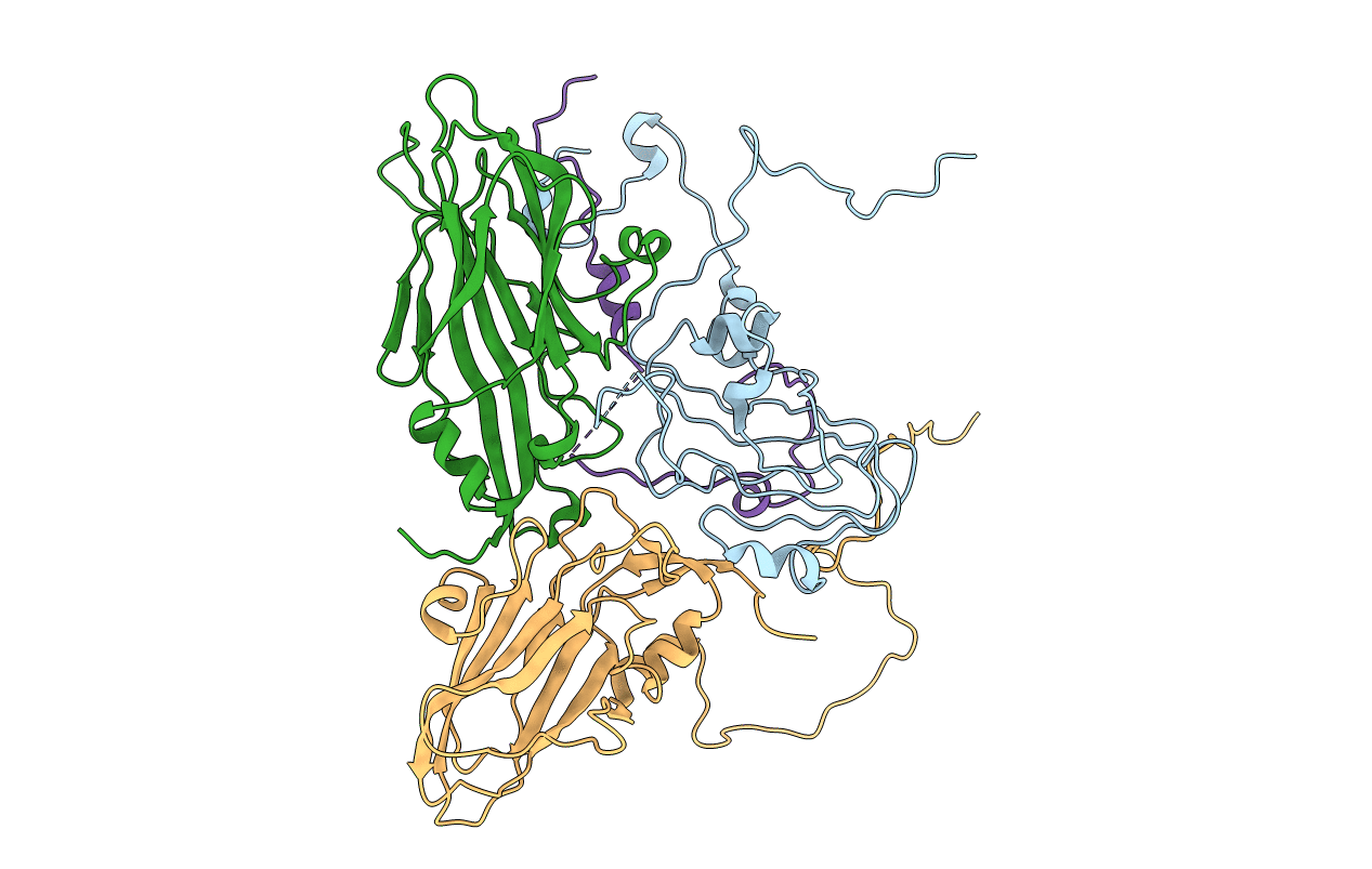 1FMD image