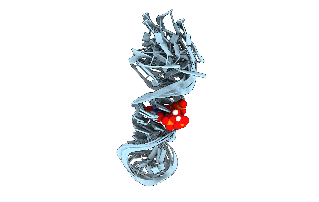 1FMN image