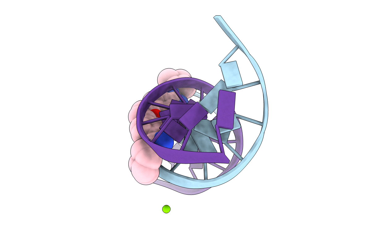 1FMS image